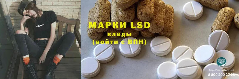 Лсд 25 экстази ecstasy  Каменногорск 